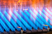 Exbury gas fired boilers